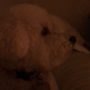 Meet your Posher, Kaleb